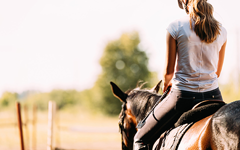 Back view of a woman riding a horse